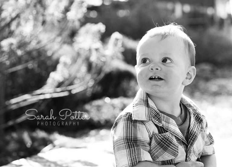 Everett.Family.Child.Photographer.49