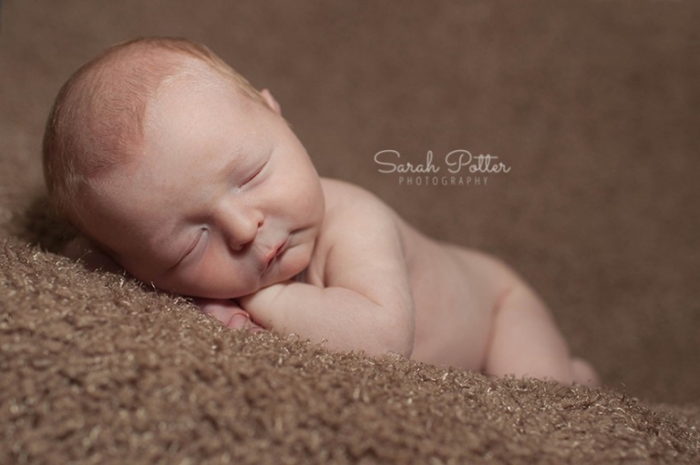 King.Snohomish.County.Newborn.Photographer.04