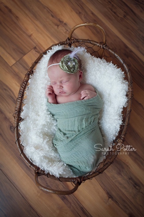 Snohomish.County.Newborn.Photographer.06