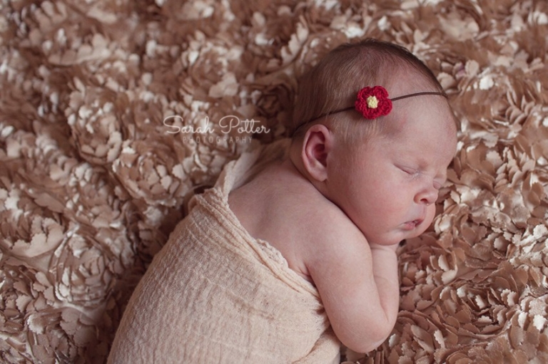 Snohomish.County.Newborn.Photographer.08