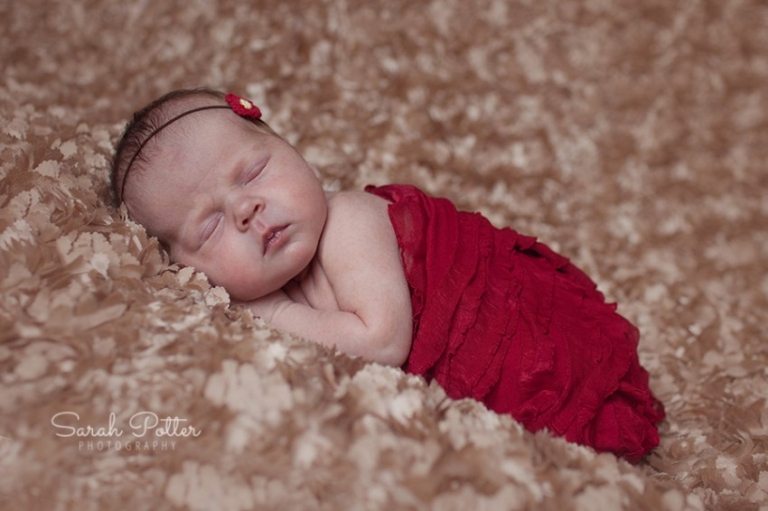 Snohomish.County.Newborn.Photographer.09