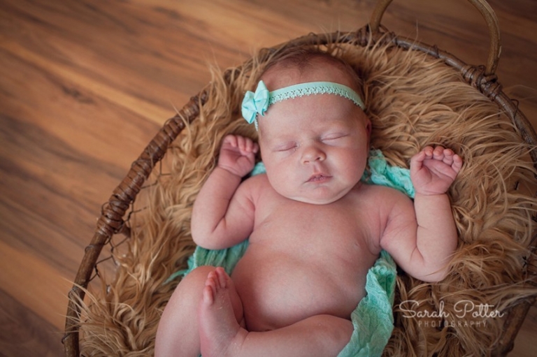 Snohomish.County.Newborn.Photographer.11