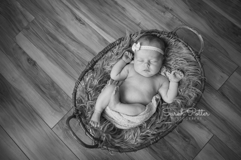 Snohomish.County.Newborn.Photographer.12
