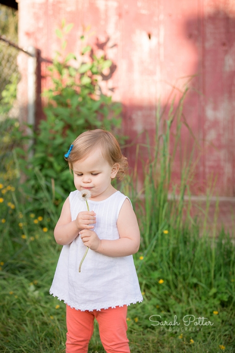 Arlington.Monroe.Family.Photographer.34